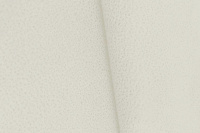1. Biela